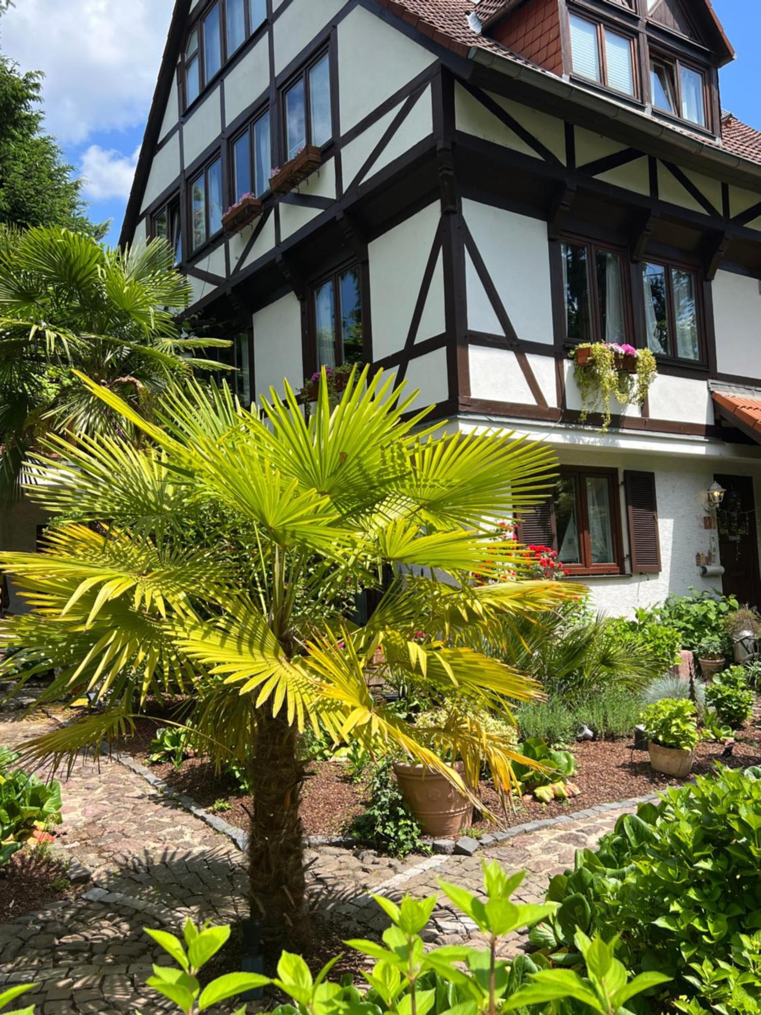 Einliegerwohnung In Einer Muehle Vor Den Toren Frankfurts, Ideal Fuer Messegaeste Oder Stop Over ドライアイヒ エクステリア 写真